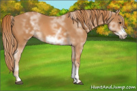 Horse Color:White Spotted Chestnut Frame 