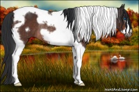 Horse Color:Brown Tobiano Frame Rabicano