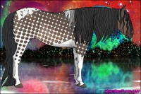 Horse Color:Brown Dun Tobiano 