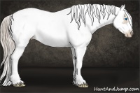 Horse Color:White Spotted Chocolate Palomino Pearl Frame 