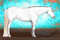 Horse Color:Smoky Black Pearl Blanket Rabicano 