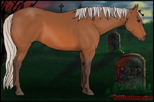 Horse Color: Silver Bay 