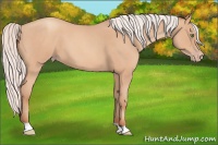 Horse Color:Silver Amber Champagne Roan 