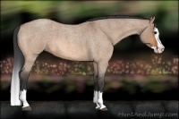 Horse Color:Bay Roan Dun Splash 