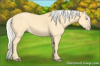 Horse Color:Silver Classic Cream Champagne Dun 