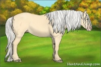 Horse Color:Silver Classic Cream Champagne Dun 