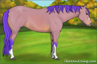 Horse Color:Watercolor Buckskin 
