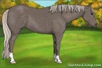 Horse Color:Silver Black 