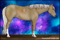 Horse Color:Silver Smoky Black