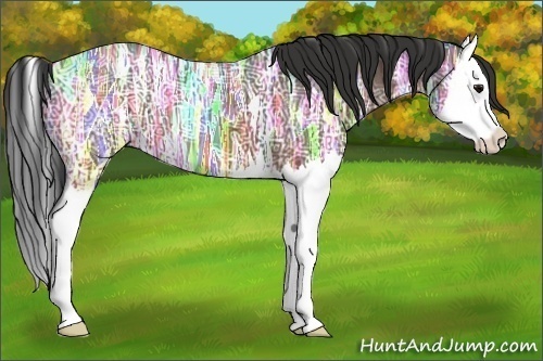 Horse Color: Bay Ice Splash 
