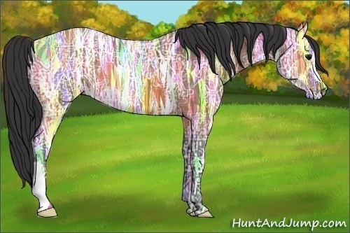 Horse Color: Bay Ice 