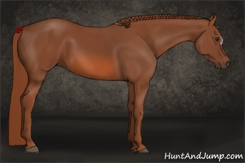 Horse Color: Liver Chestnut 