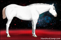 Horse Color:Bay Frame Appaloosa 