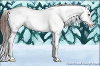 Horse Color:Bay Ice Snowcap 
