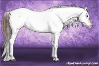 Horse Color:Brown Ice Snowcap 