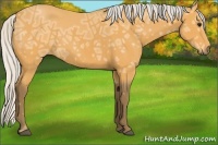 Horse Color:Silver Buckskin Ice Rabicano