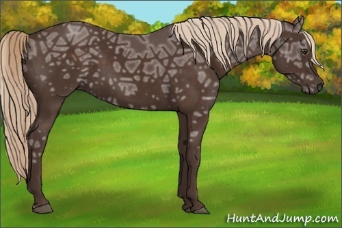 Horse Color: Liver Chestnut Ice 