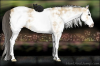 Horse Color:White Spotted Buckskin Ice Splash Rabicano 