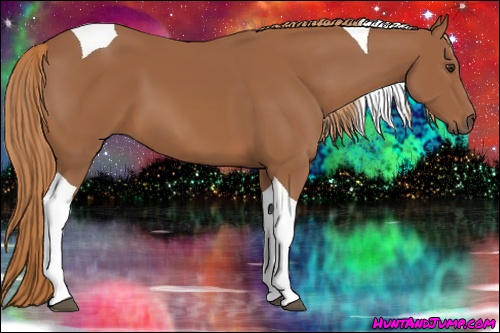 Horse Color: Chestnut Tobiano 