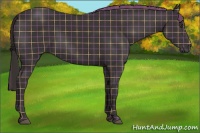 Horse Color:Plaid  Liver Chestnut 