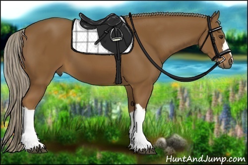 Horse Color: Chocolate Palomino 