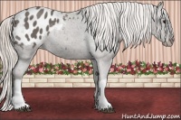 Horse Color:Silver Black Blanket 