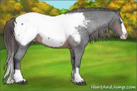Horse Color:Brown Splash Snowcap 