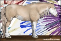 Horse Color:Chocolate Palomino Pearl Sabino 