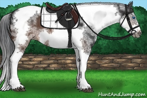 Horse Color: White Spotted Brown Splash Tobiano Frame 