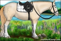Horse Color:Buckskin Pearl Splash 