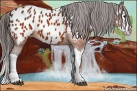 Horse Color:Brown Splash Near Leopard 