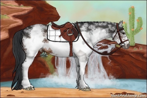 Horse Color: White Spotted Brown Frame 