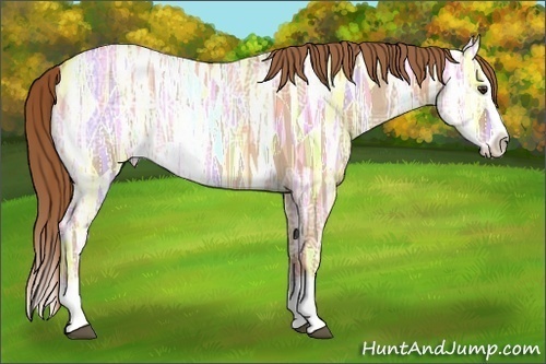 Horse Color: Red Dun Ice Splash 