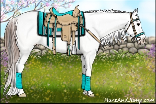 Horse Color: ERROR: UNKNOWN ANOMALY