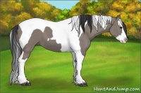Horse Color:Grullo Splash Tobiano