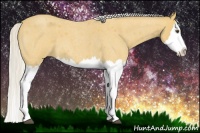 Horse Color:Silver Buckskin Roan Splash 