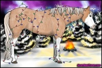 Horse Color:Silver Bay Roan Splash 