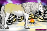 Horse Color:Silver Buckskin Ice Splash
