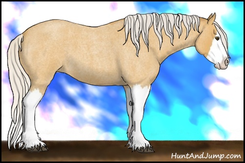 Horse Color: Silver Buckskin Roan Splash 