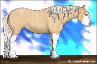 Horse Color:Silver Buckskin Roan Splash
