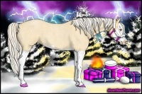 Horse Color:Silver Buckskin Roan Dun Splash 