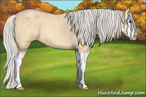 Horse Color: Silver Buckskin Roan Dun Splash 