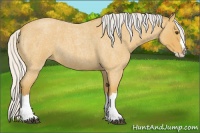 Horse Color:Silver Buckskin Roan Splash 