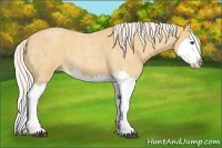 Horse Color:Palomino Roan Splash 