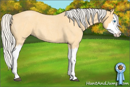 Horse Color: Silver Buckskin Roan Splash 