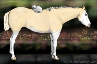 Horse Color:Palomino Roan Splash 