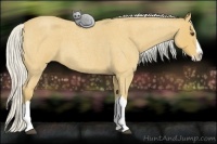 Horse Color:Silver Buckskin Roan Splash 