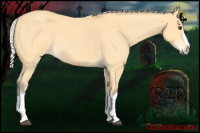 Horse Color:Silver Buckskin Roan Splash 