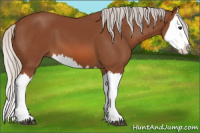Horse Color:Silver Bay Splash 