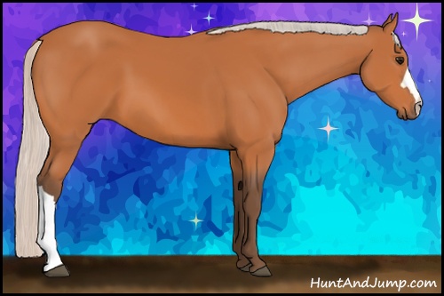 Horse Color: Silver Bay 